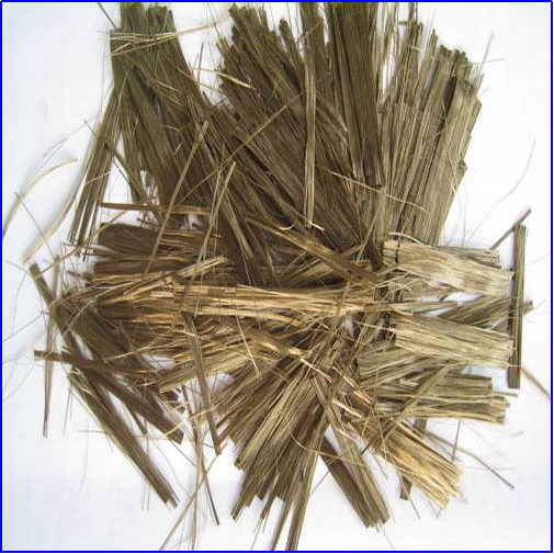 金年会体育科技