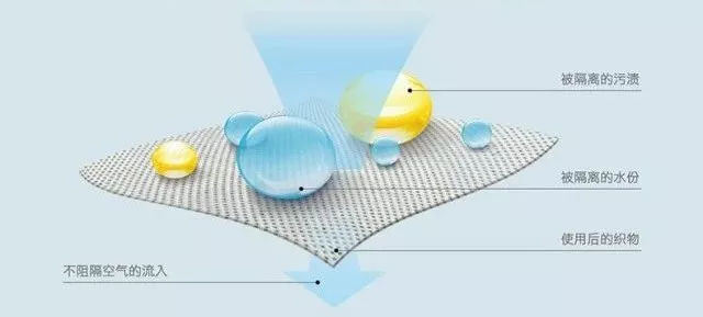 金年会体育科技