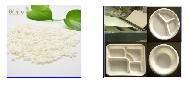 金年会体育科技