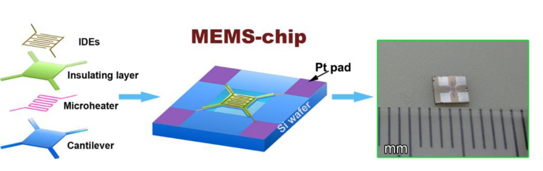 金年会体育科技