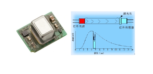 金年会体育科技