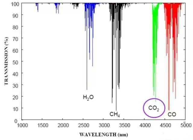 金年会体育科技