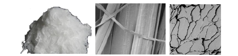 金年会体育科技