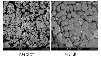 金年会体育科技