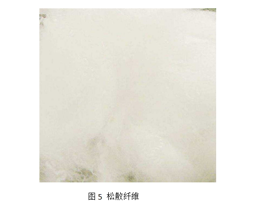 金年会体育科技