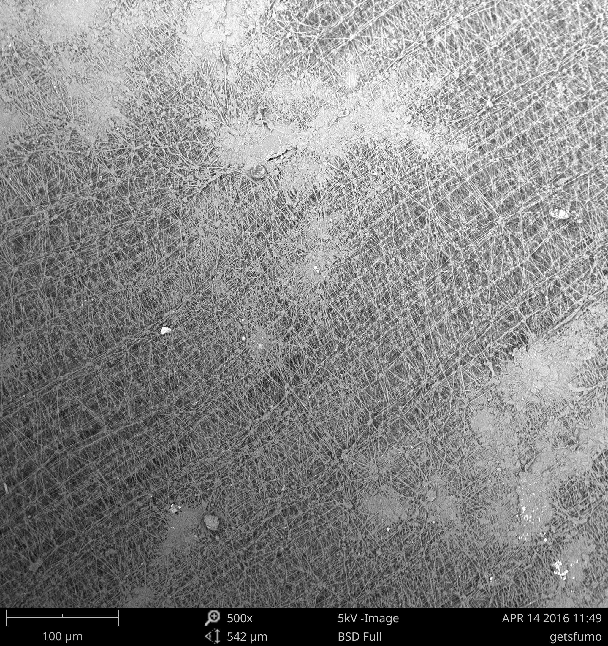 金年会体育科技