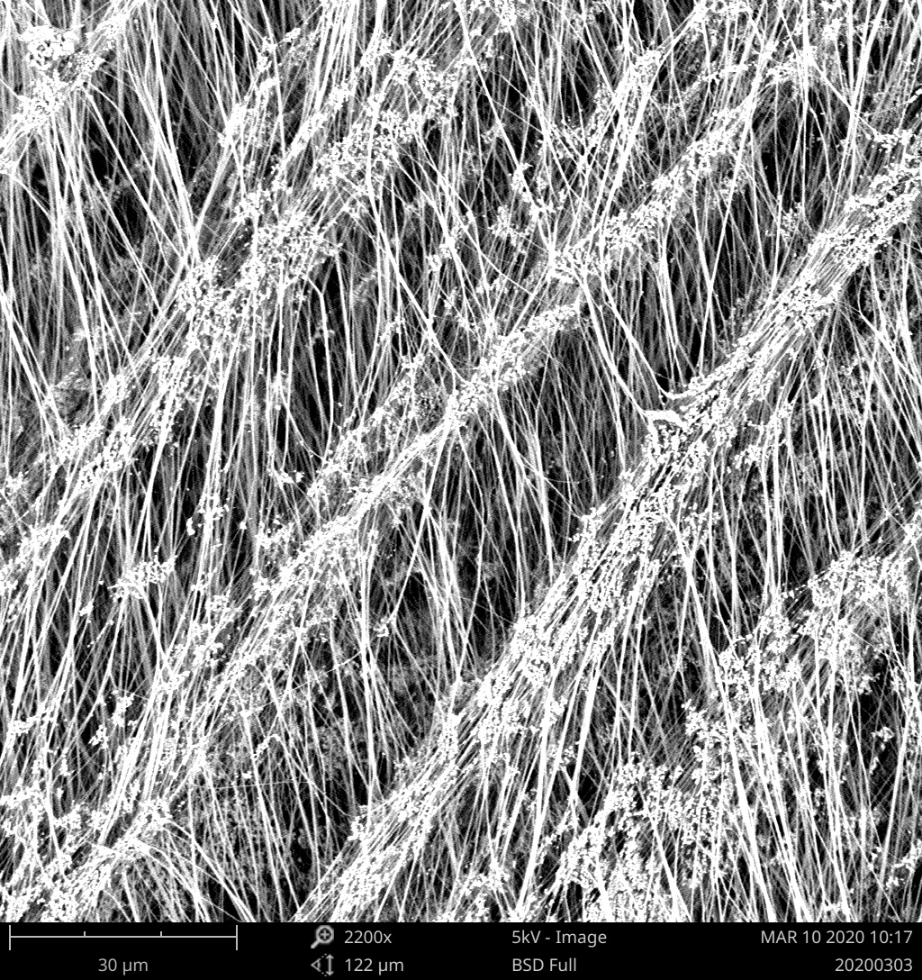 金年会体育科技