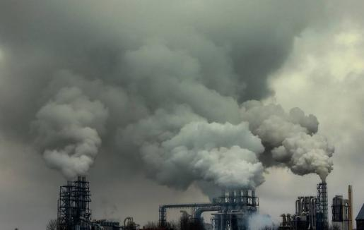 金年会体育科技