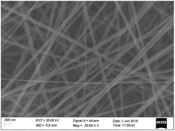 金年会体育科技