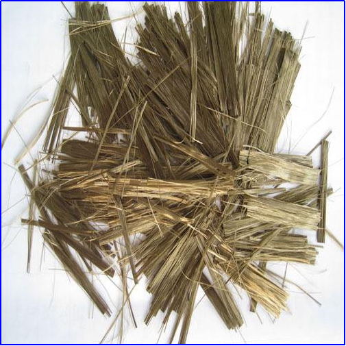 金年会体育科技