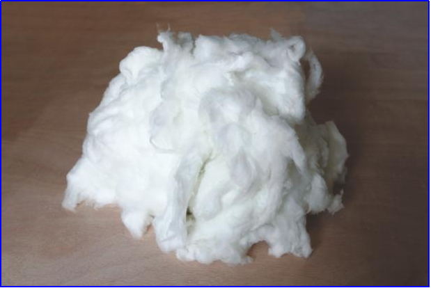 金年会体育科技