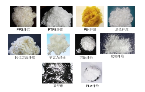 金年会体育科技