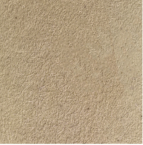 金年会体育科技