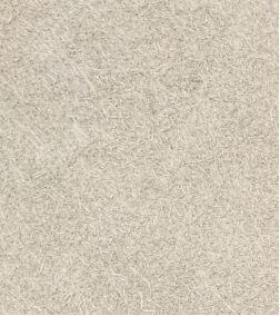 金年会体育科技