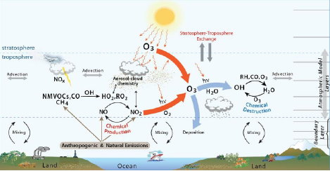 金年会体育科技