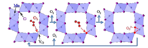 金年会体育科技