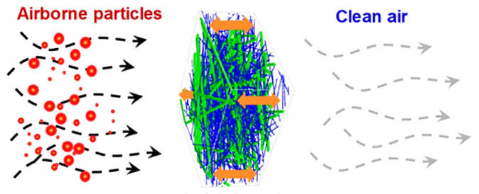 金年会体育科技