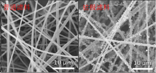 金年会体育科技