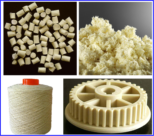 金年会体育科技