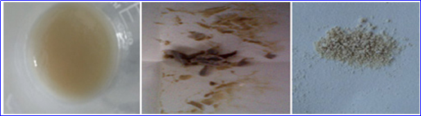 金年会体育科技