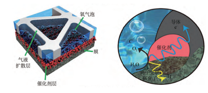 金年会体育科技