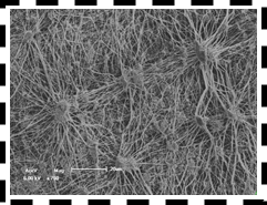 金年会体育科技