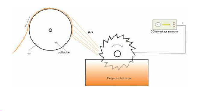 金年会体育科技