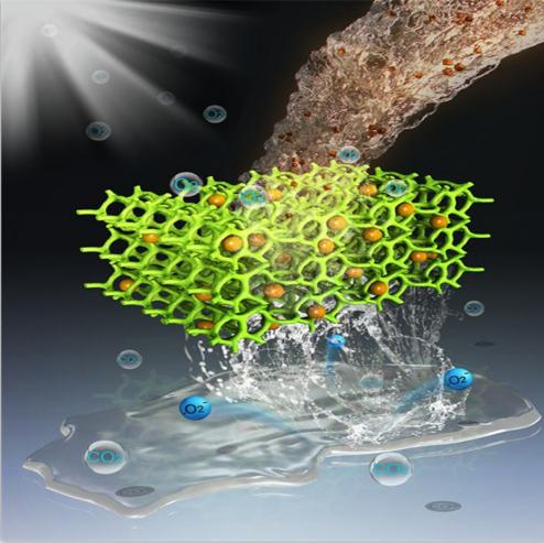 金年会体育科技