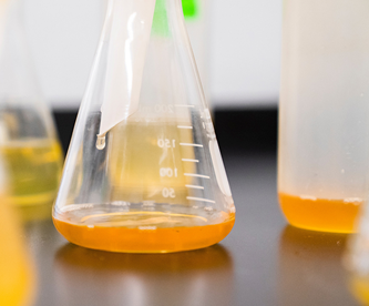 金年会体育科技