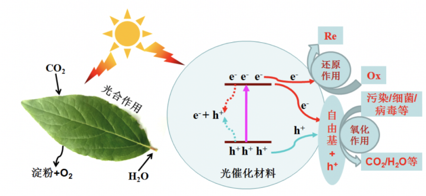 金年会体育科技