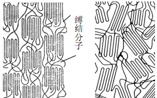 金年会体育科技