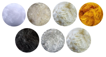 金年会体育科技