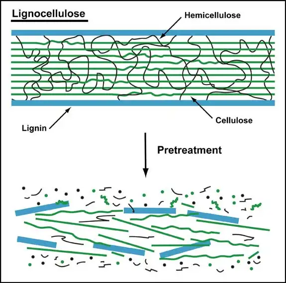 金年会体育科技