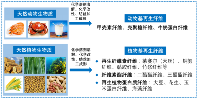 金年会体育科技