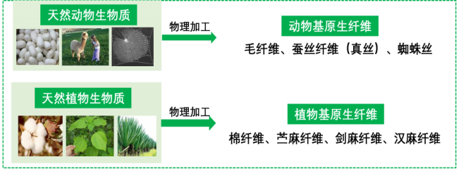 金年会体育科技