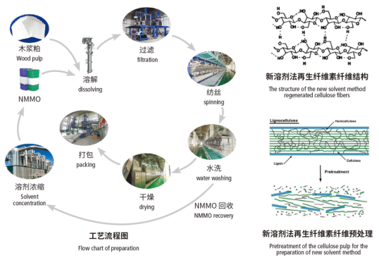 金年会体育科技