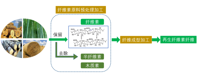 金年会体育科技