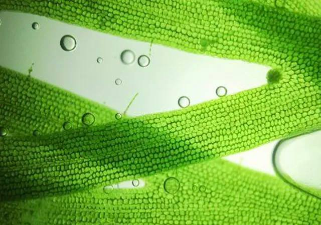 金年会体育科技