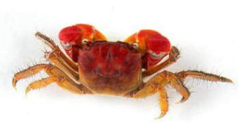 金年会体育科技