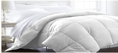 金年会体育科技