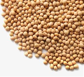 金年会体育科技