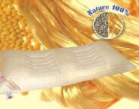 金年会体育科技