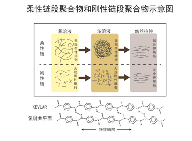 金年会体育科技