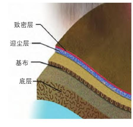 金年会体育科技