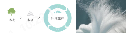 金年会体育科技